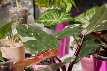 Similar image 22024870