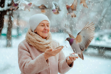 Similar image 22032021