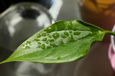 Similar image 22024178