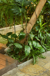 Similar image 22024467