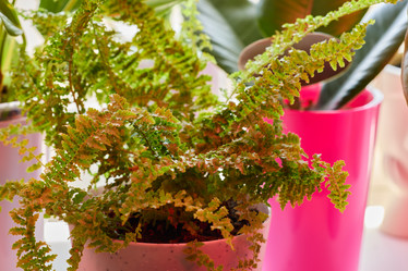 Similar image 22024479