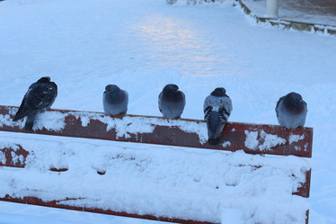 Similar image 22024481