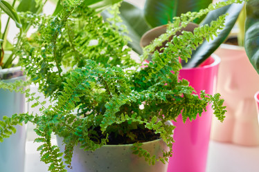 Similar image 22024489