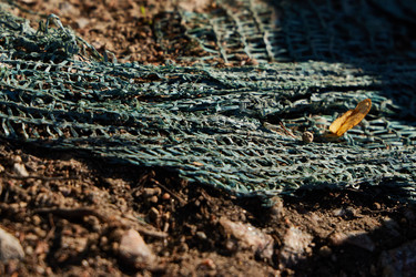 Similar image 22024493