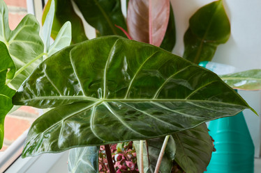 Similar image 22024495