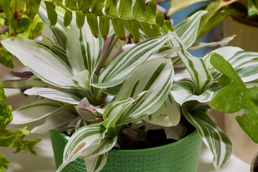 Similar image 22024496