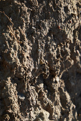 Similar image 22024504