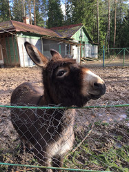 Similar image 22024507