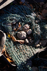 Similar image 22024508