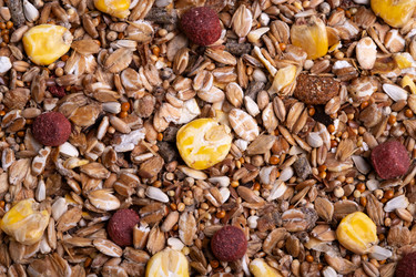 Similar image 22026698