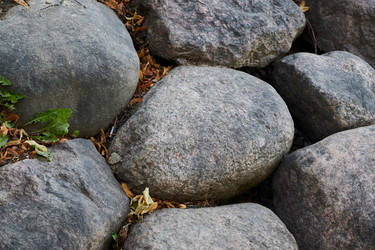 Similar image 22024517