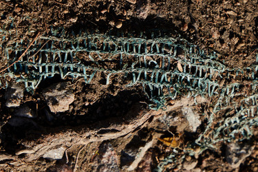 Similar image 22024521