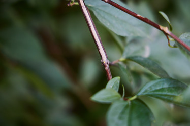 Similar image 22024525