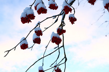 Similar image 22024527