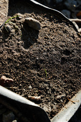 Similar image 22024532