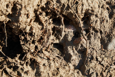 Similar image 22024535