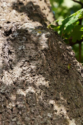 Similar image 22024540