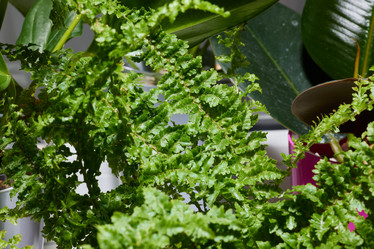 Similar image 22024547