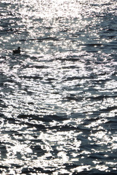 Similar image 22024554