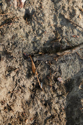 Similar image 22024878