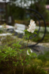 Similar image 22024879