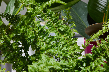 Similar image 22024881