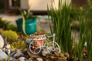 Similar image 22024884