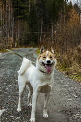 Similar image 22026701