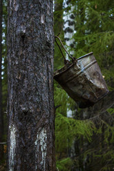 Similar image 22026702