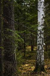 Similar image 22026703