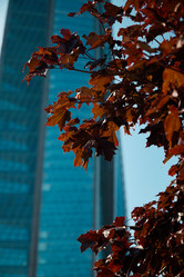 Similar image 22024563