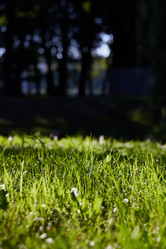 Similar image 22024568