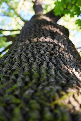 Similar image 22024572