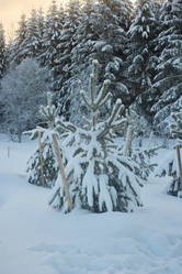 Similar image 22024579