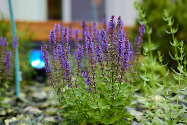 Similar image 22024584