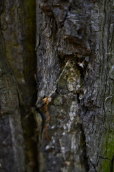 Similar image 22024587