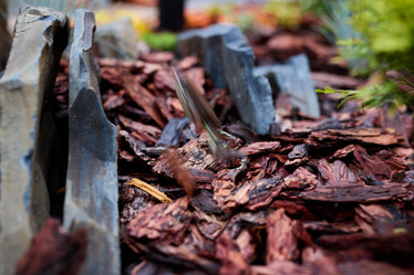 Similar image 22024590