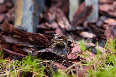 Similar image 22024592