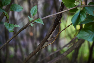 Similar image 22024594