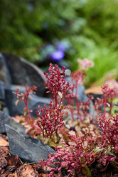 Similar image 22024602