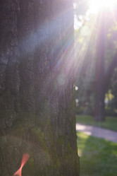 Similar image 22024603