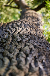 Similar image 22024607