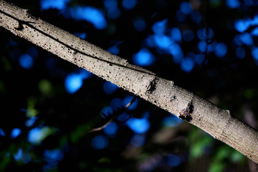 Similar image 22024612