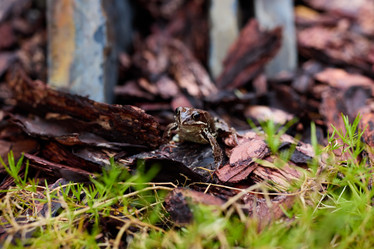 Similar image 22024615