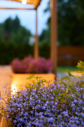 Similar image 22024618