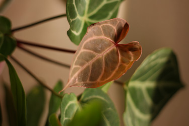 Similar image 22024622