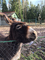 Similar image 22024902