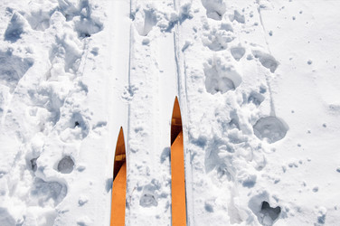 Similar image 22025428