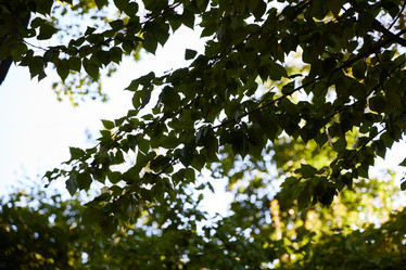 Similar image 22024148