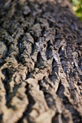 Similar image 22024183